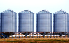 Grain and Oil Industry
